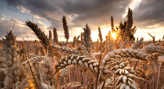 Resurrection Fasting Guide